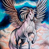 Pegasus. Prismacolor premier. enmarcado. 21x29cm	